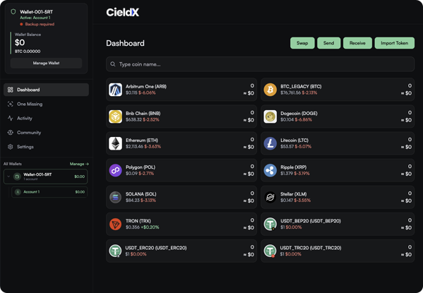 CieldX Wallet control and ownership of digital assets illustration